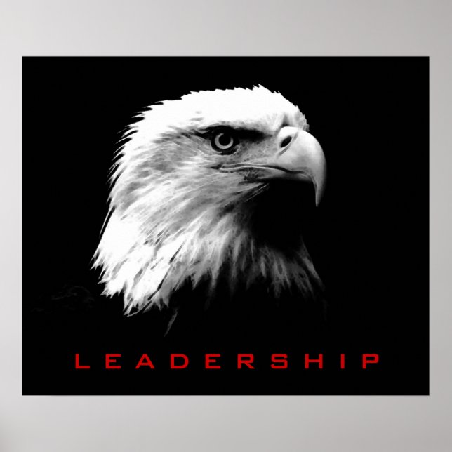 Black & White Leadership Eagyes Poster (Vorne)