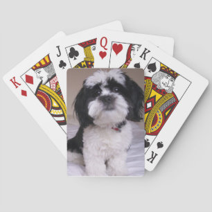 Black & White Lhasa Apso Spielkarten