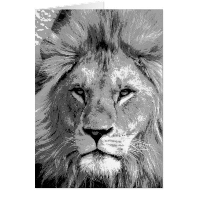 Black White Lion (Vorne)