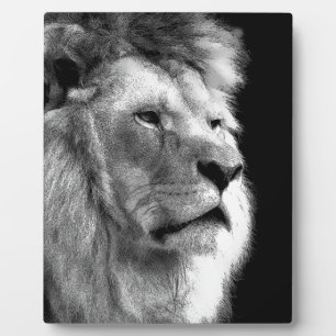 Black White Lion Fotoplatte
