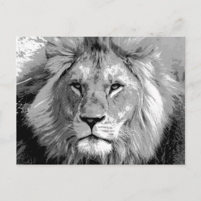 Black White Lion Postkarte (Vorderseite)