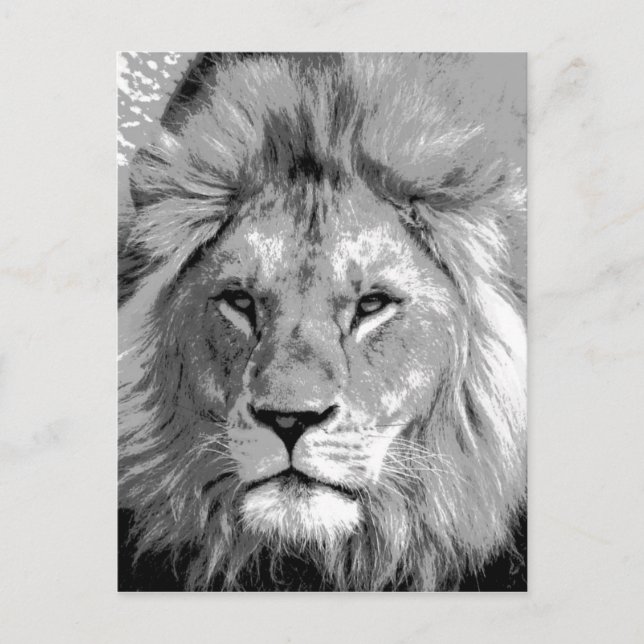 Black White Lion Postkarte (Vorderseite)