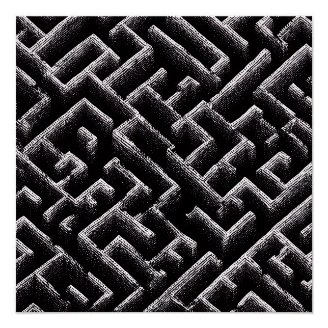 Black & White Optical Illusion Maze Pattern Art Poster (Vorderseite)