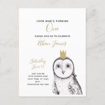 Black & White Owl Baby 1. Geburtstag Party