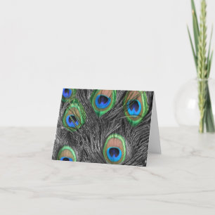 Black & White Peacock Feather Vielen Dank Dankeskarte
