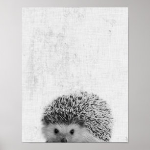 Black & White Peekaboo Igel Minimalistisches Kinde Poster