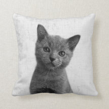 Black & White Peekaboo Kitten Minimalistisches Kin