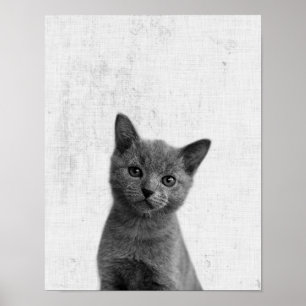 Black & White Peekaboo Kitten Minimalistisches Kin Poster