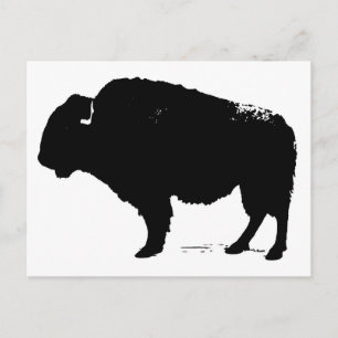 Black & White Pop Art Büffalo Bison Postkarte