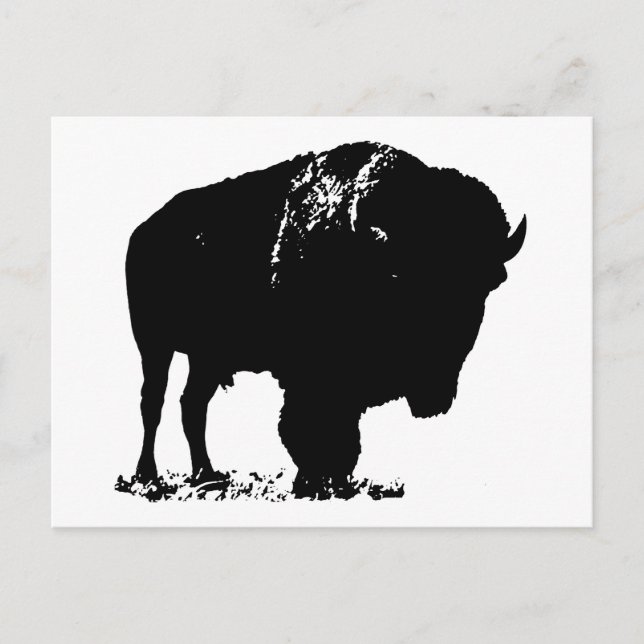 Black & White Pop Bison Buffalo Postkarte (Vorderseite)