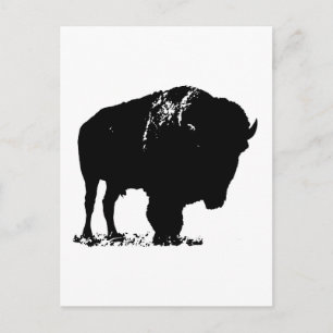 Black & White Pop Bison Buffalo Postkarte