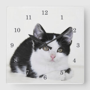Black White Thoughtful Kitten Wall Clock Quadratische Wanduhr