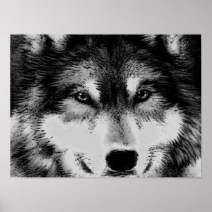 Black & White Wolf Eyes Poster