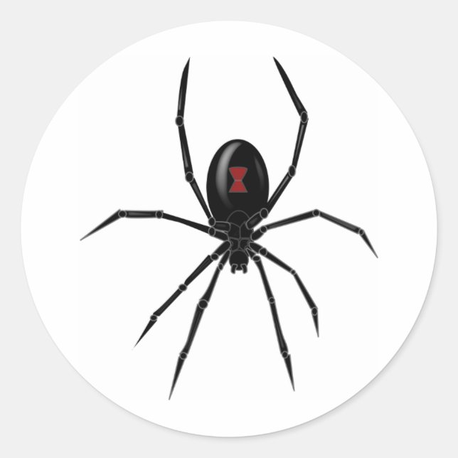 Black WIdow Spider Runder Aufkleber (Vorderseite)