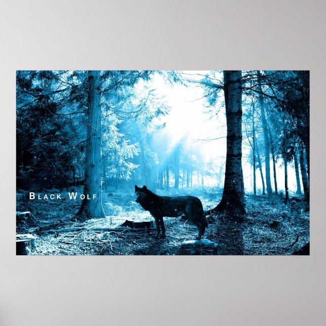 Black Wolf Alone in the Forest Poster (Vorne)