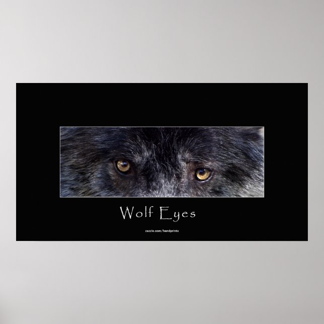 Black Wolf Eyes Wildlife Poster (Vorne)