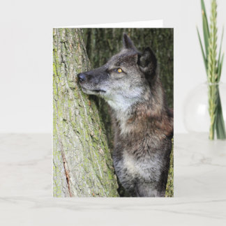 Black Wolf Grußkarte Karte
