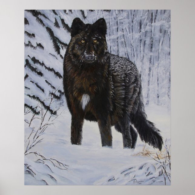 Black Wolf Poster (Vorne)