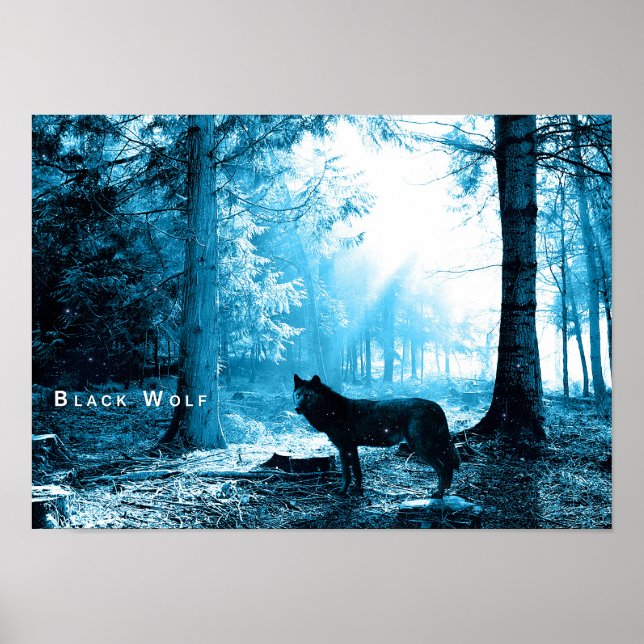Black Wolf Woods Forest Night Fantasy Poster (Vorne)