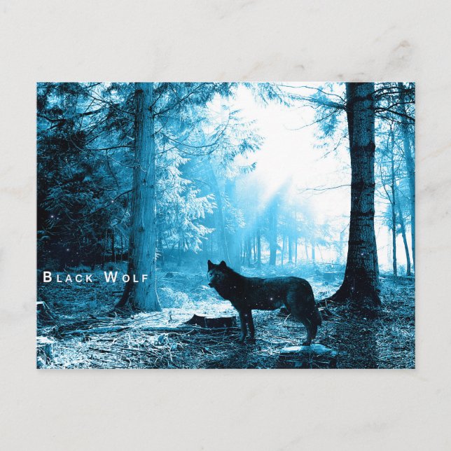 Black Wolf Woods Forest Night Fantasy Postkarte (Vorderseite)
