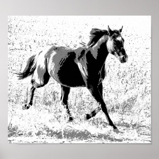 Black Yearling Horse Poster (Vorne)