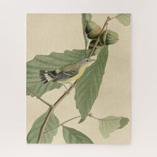 Black & Yellow Warbler, Audubons Vögel in Amerika Puzzle