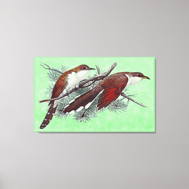 Black & Yellowled Cuckoo Birds Canvas Print Leinwanddruck (Vorderseite)