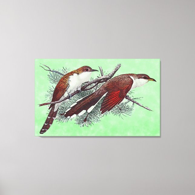 Black & Yellowled Cuckoo Birds Canvas Print Leinwanddruck (Vorderseite)