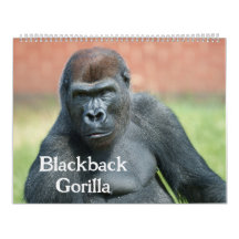 Blackback Gorilla 2026