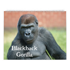 Blackback Gorilla 2026 Kalender