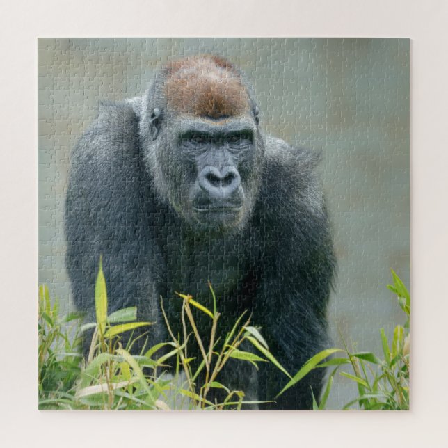 Blackback Gorilla Lope Puzzle (Vertikal)