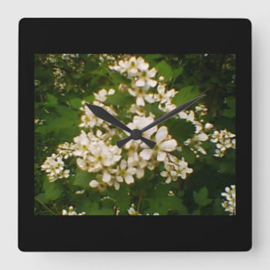 BlackBerry Blossom Quadratische Wanduhr