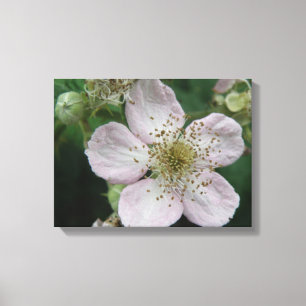 BlackBerry Blume Macro Canvas Print Leinwanddruck