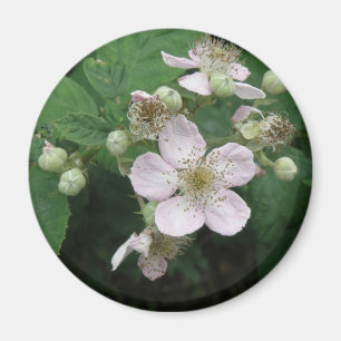 BlackBerry Blume Magnet