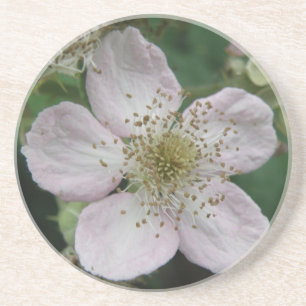 BlackBerry Blume Makro-Untersetzer Untersetzer
