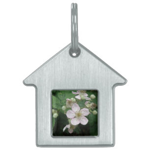 BlackBerry-Blume Pet-Tag Tiermarke