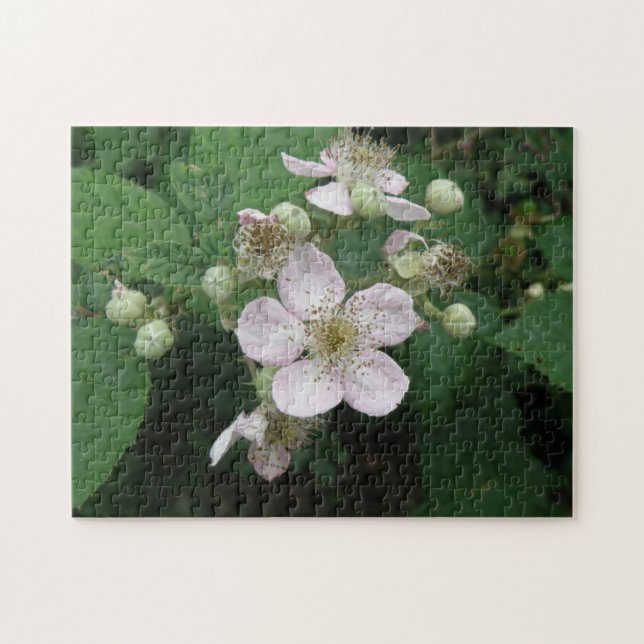 BlackBerry Blume Puzzle (Horizontal)