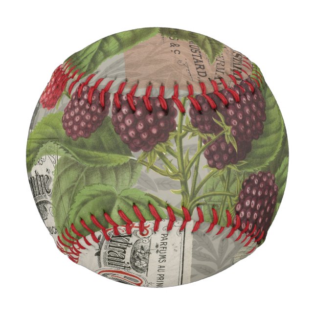 BlackBerry Blumengarten Blume Schmetterling Kunst Baseball (Vorderseite)
