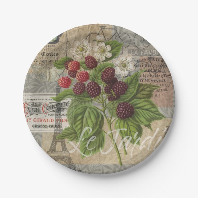 BlackBerry Blumengarten Blume Schmetterling Kunst Pappteller (Vorderseite)