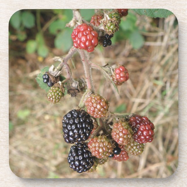 BlackBerry Bonanza Cork Untersetzer (Vorderseite)