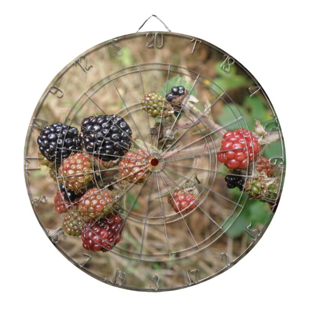 BlackBerry Bonanza Dart Board Dartscheibe (vorne)