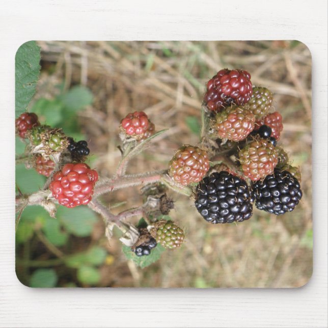 BlackBerry Bonanza Mousepad (Vorne)