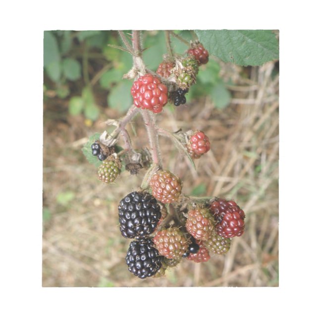 BlackBerry Bonanza Notepad Notizblock (Vorderseite)