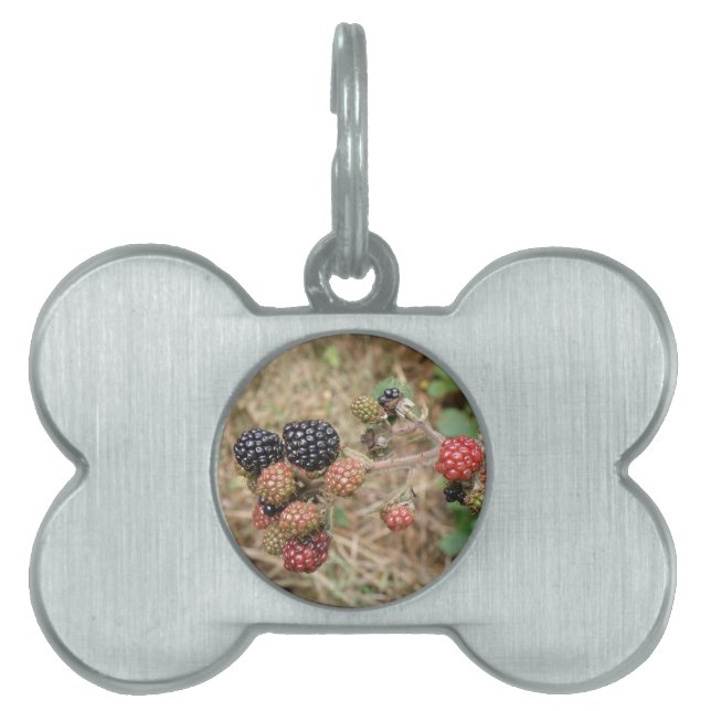 BlackBerry Bonanza Pet Tag Tiermarke (Vorderseite)