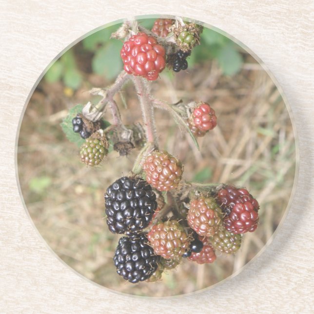 BlackBerry Bonanza Untersetzer (Vorne)