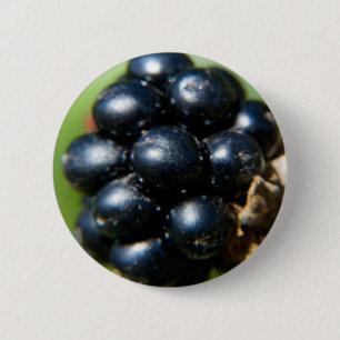 BlackBerry Button