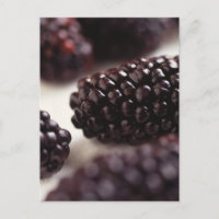 BlackBerry Closeup