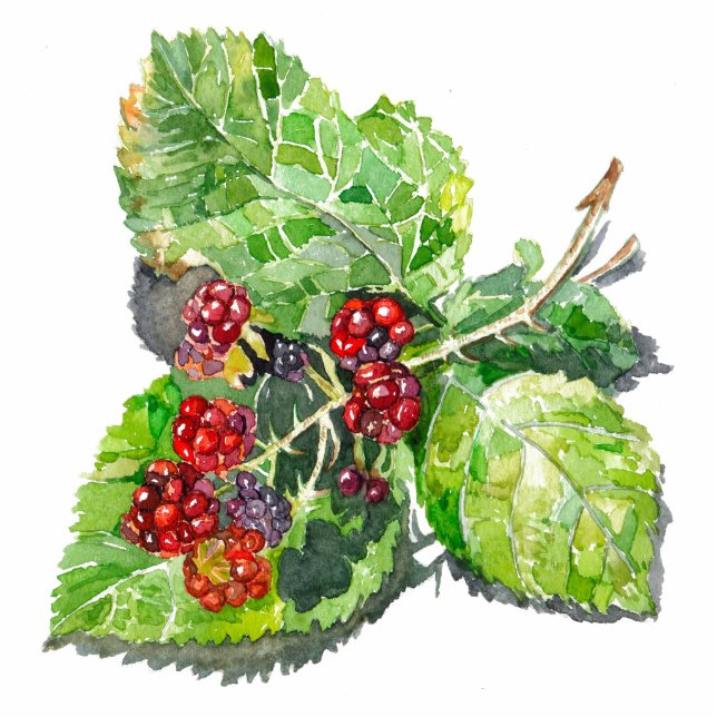 BlackBerry Fotoskulptur Magnet (Vorne)