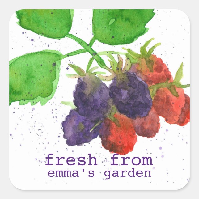 BlackBerry frisch aus dem Garten von Quadratischer Aufkleber (Vorderseite)