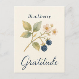 Blackberry — Gratitude Postcard Postkarte